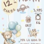 orso- grafica 4