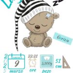 orso- grafica 5