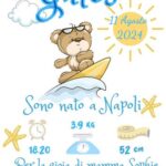 orso- grafica 3